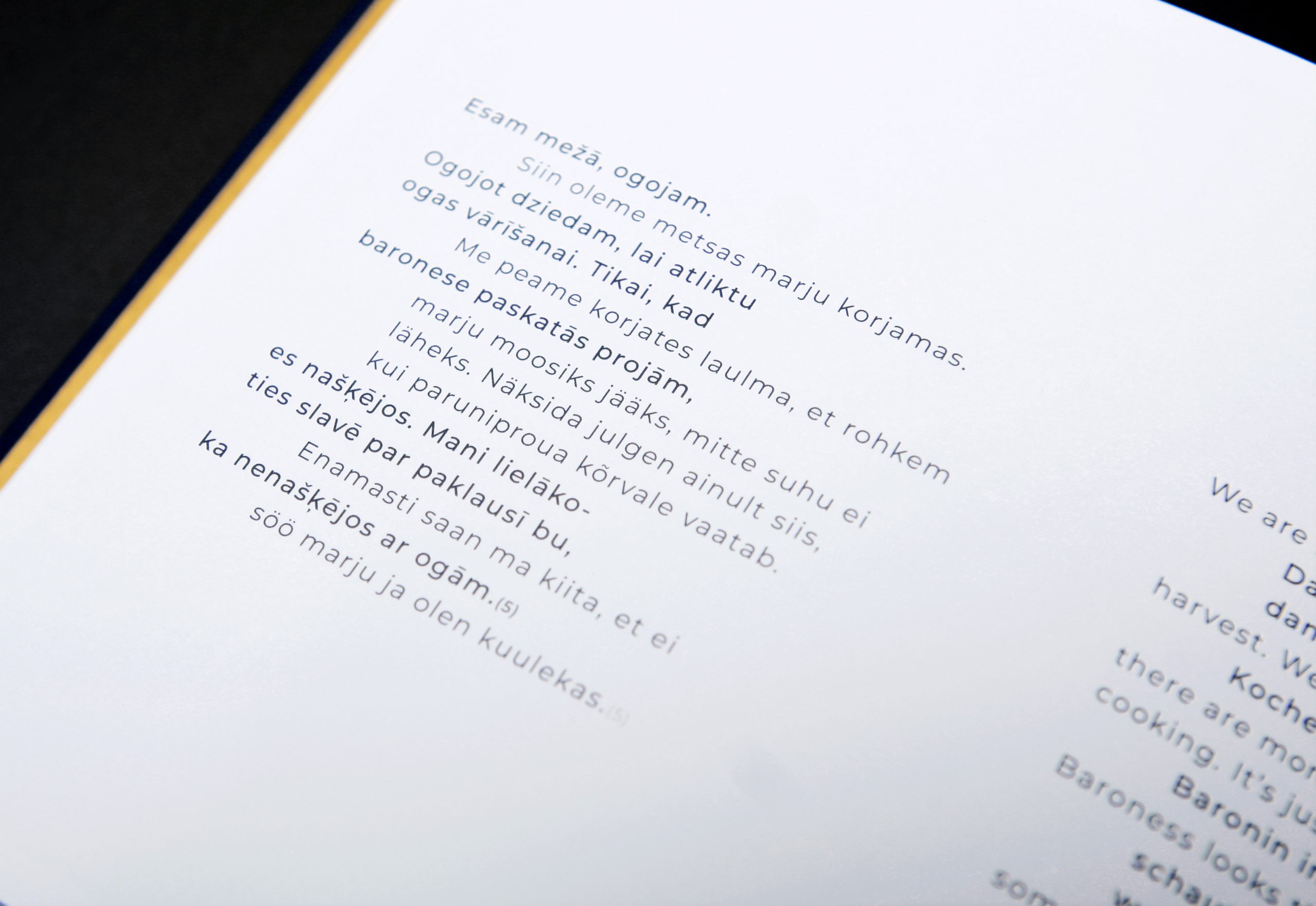 Das Gut Buch Anja Putensen