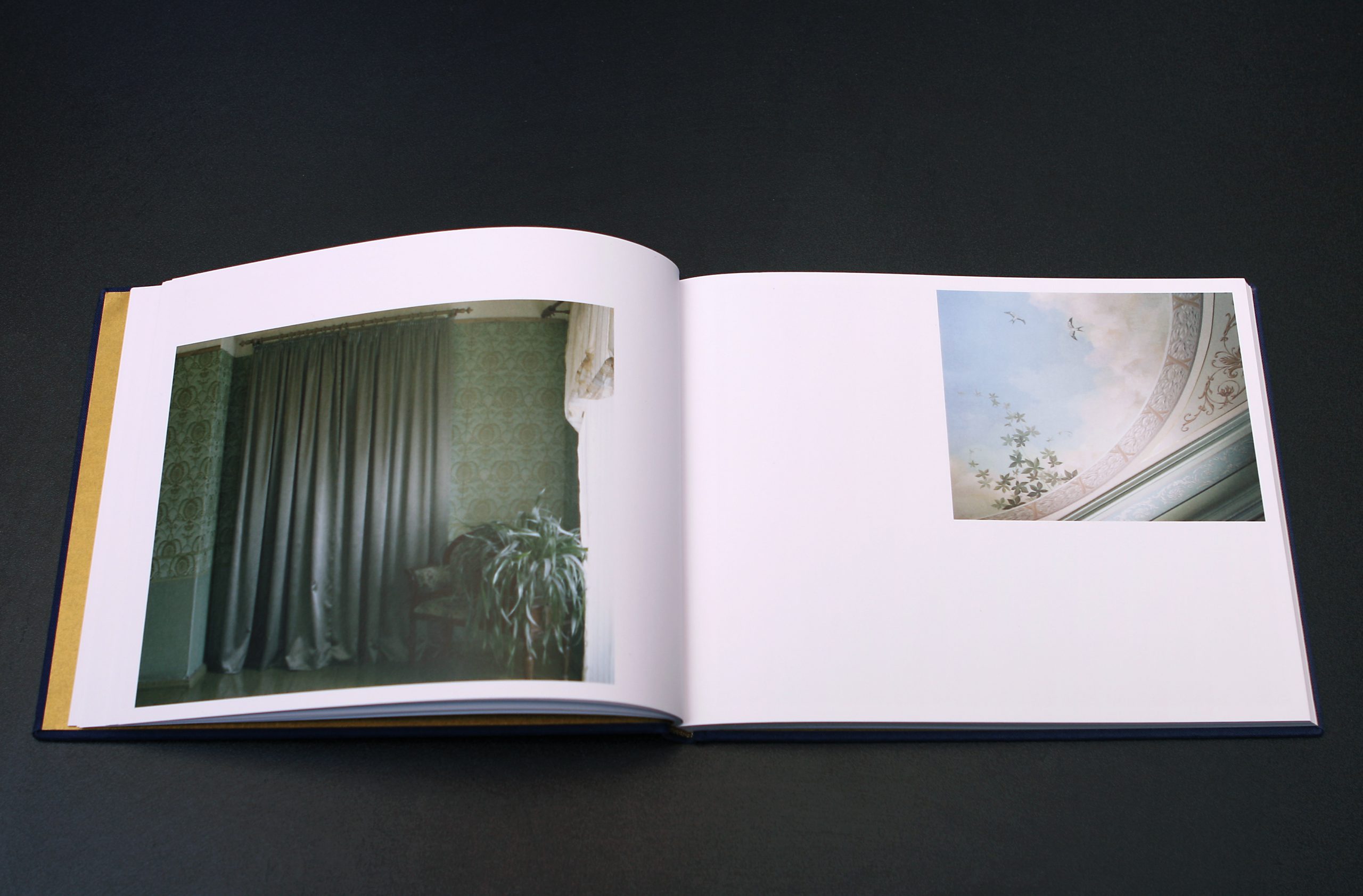 Das Gut Buch Anja Putensen